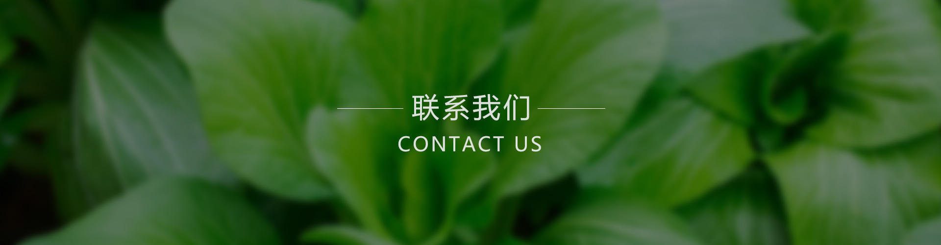 联系我们baner图片