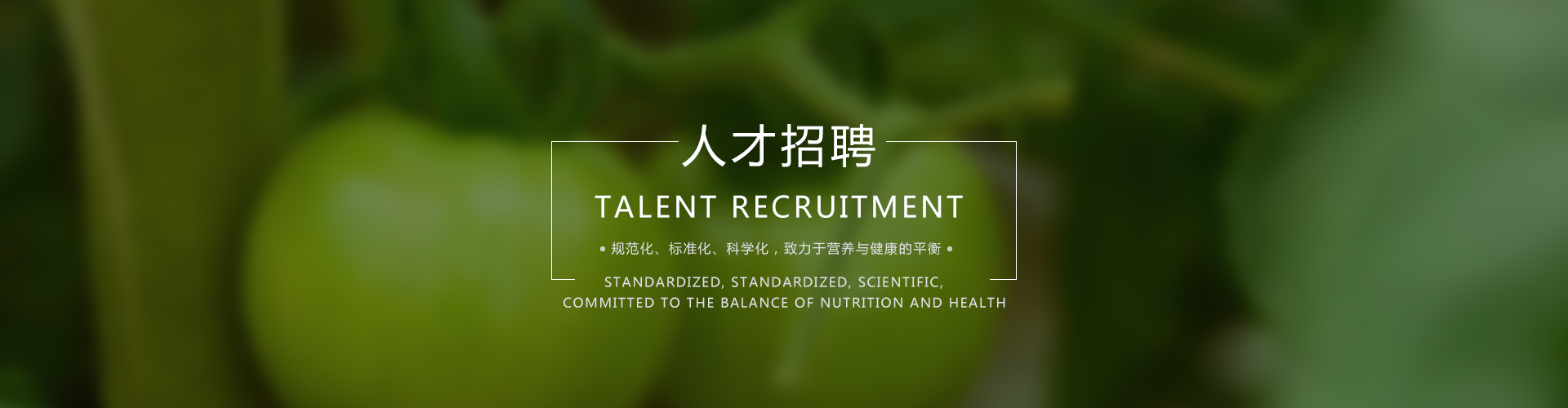 人才招聘baner图片